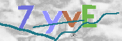 CAPTCHA-Bild