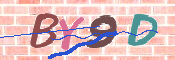 CAPTCHA-Bild