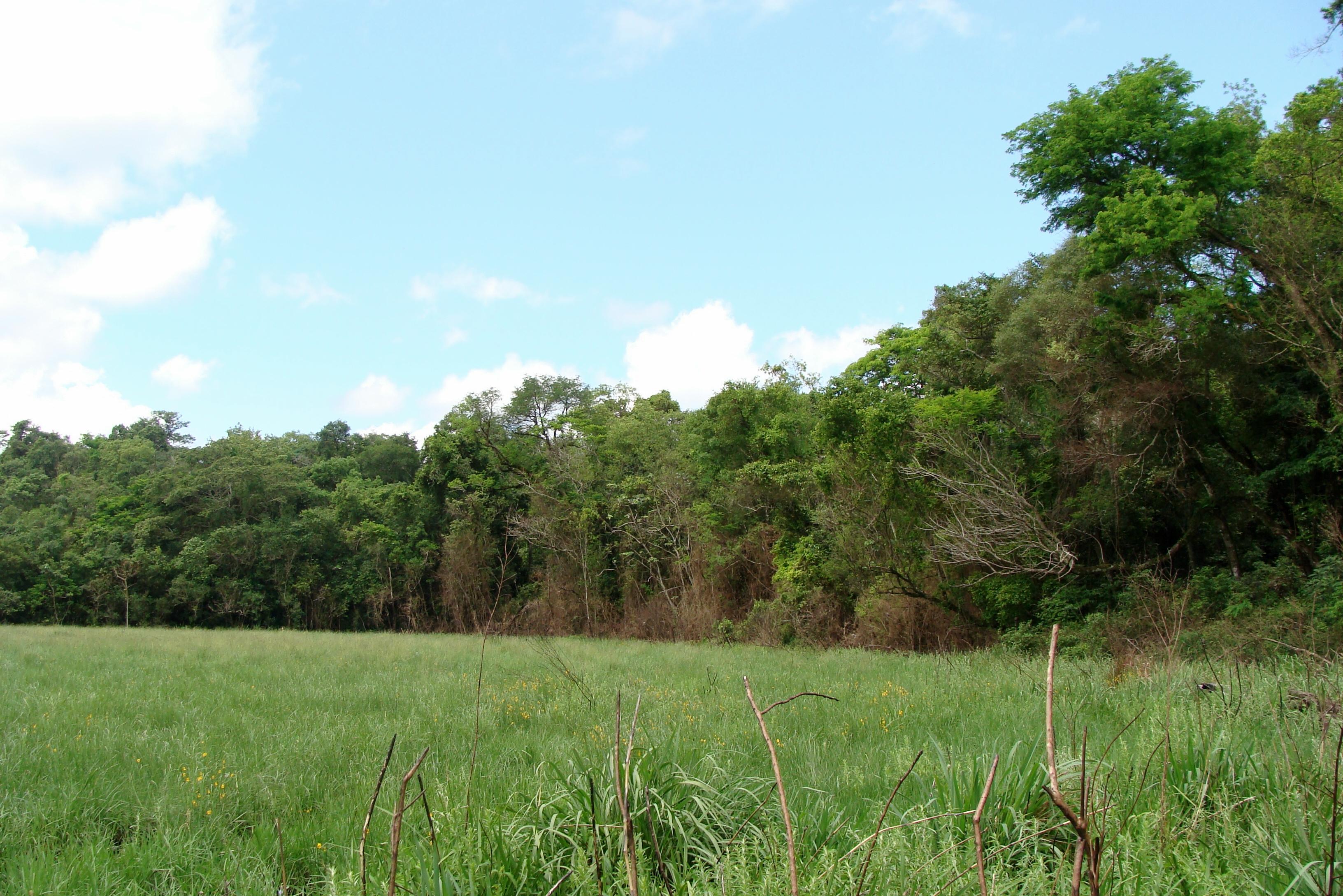 CAAZAPA | Pybio Paraguay Biodiversidad